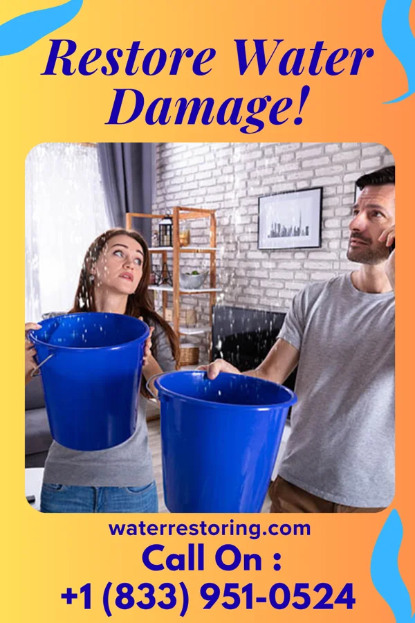 water restoration Rapid Damage Restoration Inc Mutual