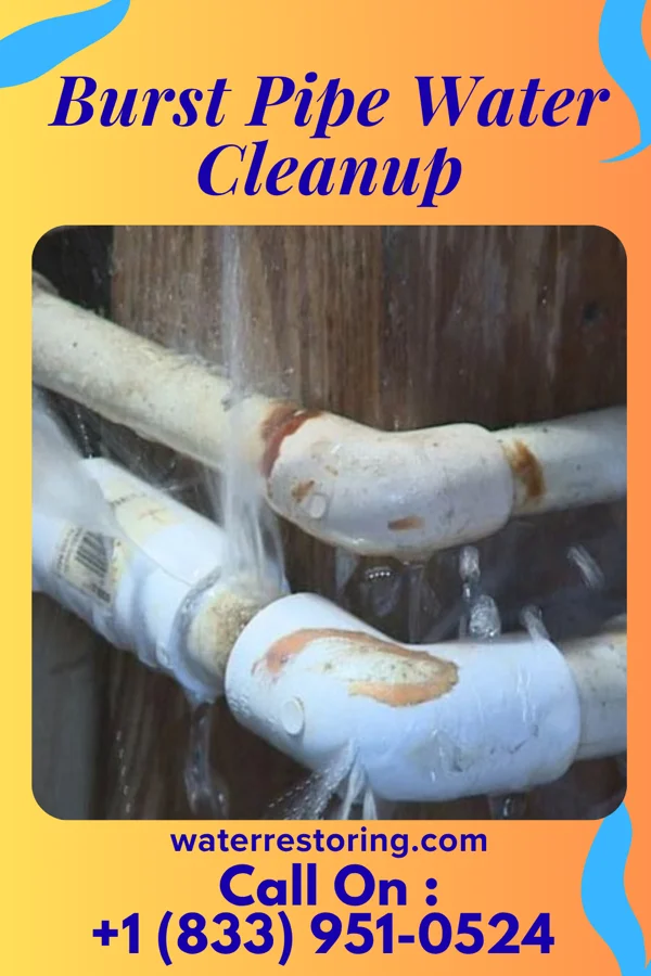 Burst Pipe Water Cleanup in Mutual, OH