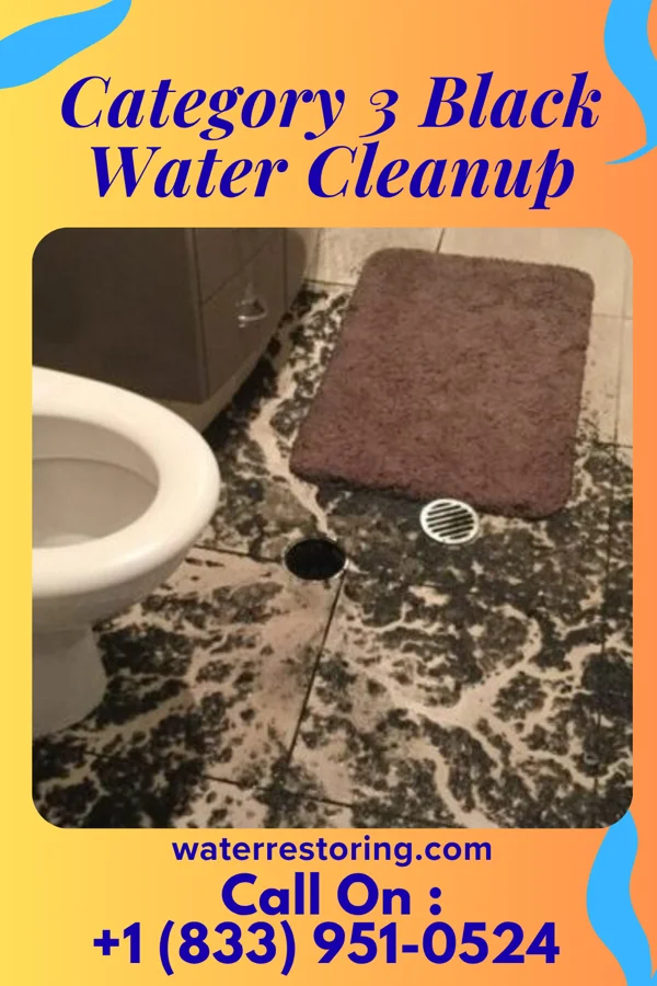 Category 3 Black Water Cleanup in Mutual, OH