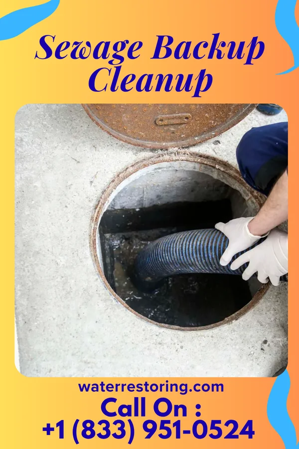 Sewage Backup Cleanup in Mutual, OH