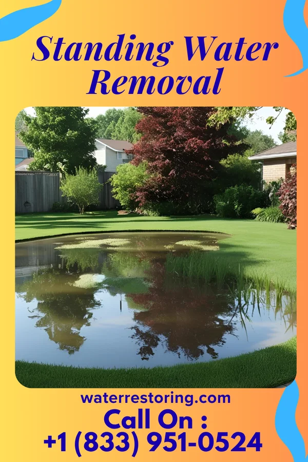 Standing Water Removal in Mutual, OH